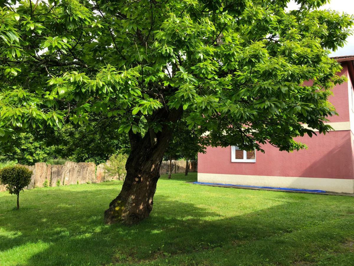 La Casa De Perfecta Villa Gondomar Dış mekan fotoğraf